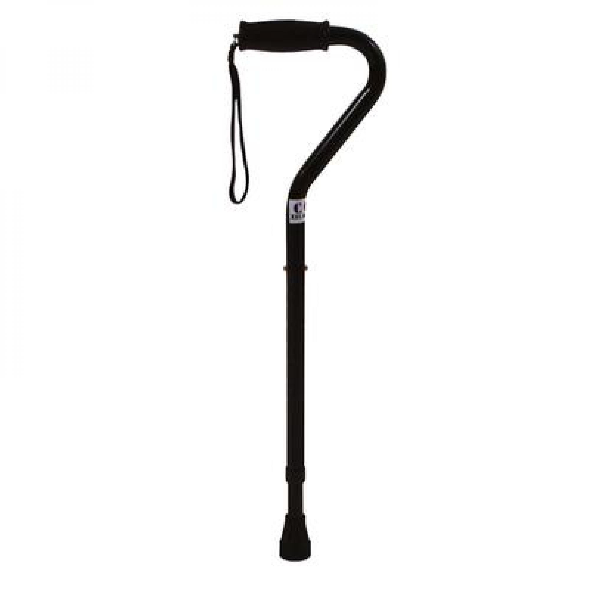 days bariatric walking stick