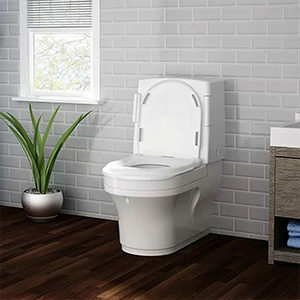 Toileting Aids