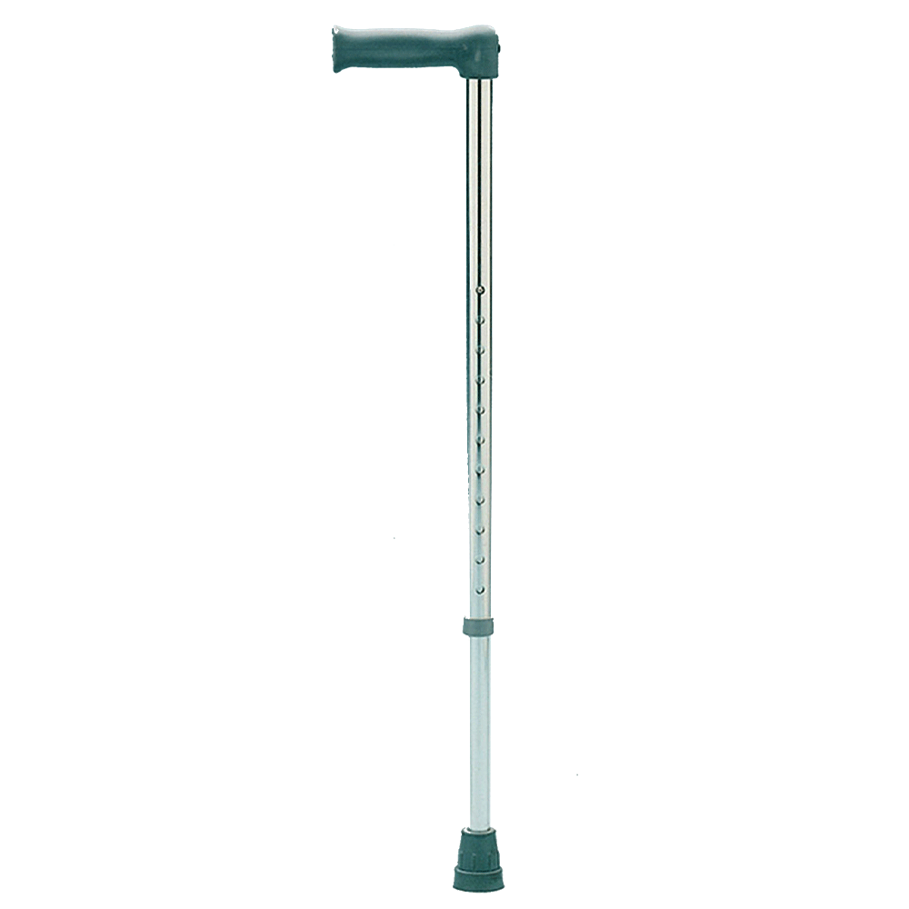 days-standard-walking-stick-stabdard-model